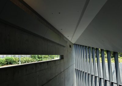 concrete, glass and light