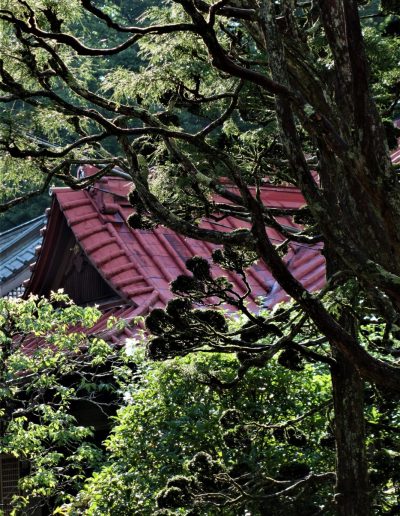 Jyokoji Temple #2