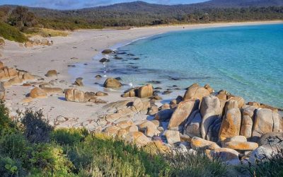 East Coast Tasmania II